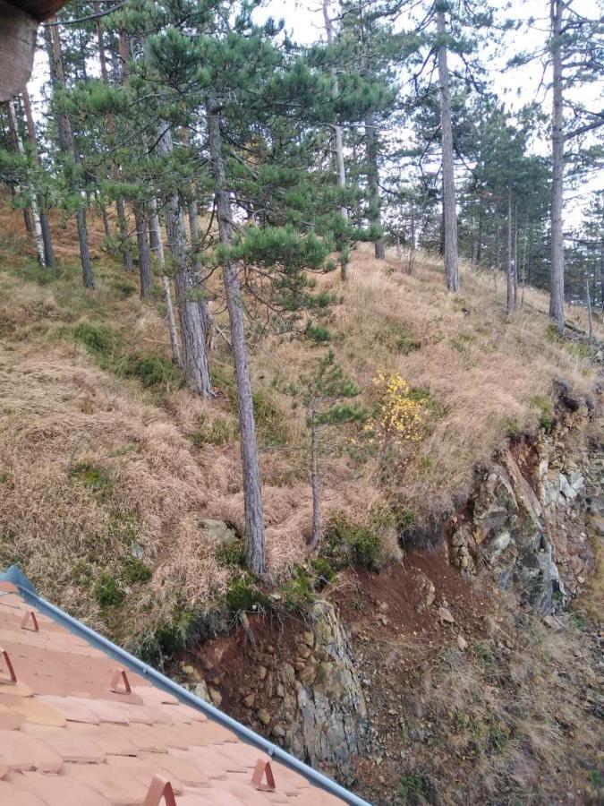 Apartmani Milojevic Divčibare Εξωτερικό φωτογραφία